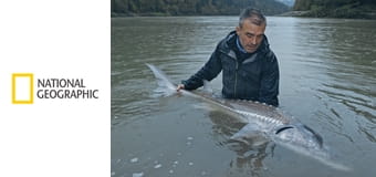 Последние великаны: Дикая рыба S1E7 - На краю катастрофы