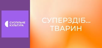 Д/с "Суперздібності тварин". "Під водою".