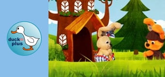 Happy Meadow - Brithday gift