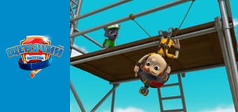 PAW Patrol. Season 5 - Episode 17