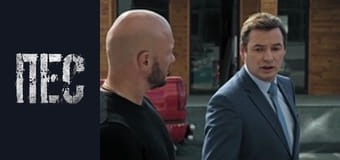 Пёс, Сезон 6, Серия 14