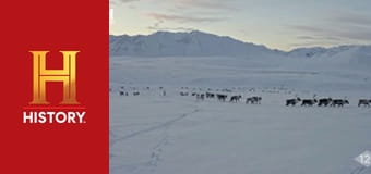 Звезды ломбарда, 24 сезон, 11 эп. Максимальный ломбард.