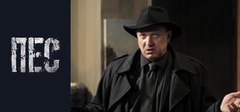 Dog, Season 3, Episode 11 Dog, Season 3, Episode 11