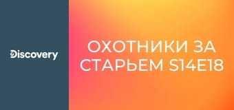 Охотники за старьем S14E18 - Take a Chance