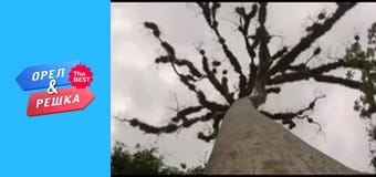 Золотая карта, Выпуск 140