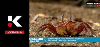 Цікаві факти.