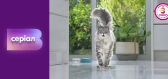 "Реальна містика", 8 сезон, 17 еп. "Трамвай-привид".