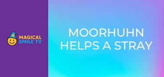 Moorhuhn Helps a Stray