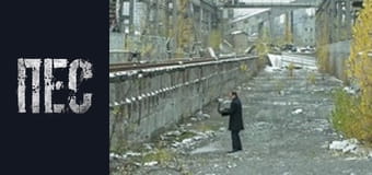 Dog, Season 6, Episode 17