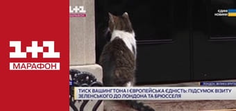 "Єдині новини". Телемарафон.