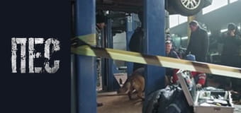 Dog, Season 6, Episode 26