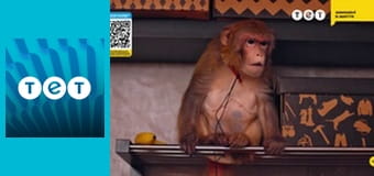 Ромео і Джульєтта з Черкас