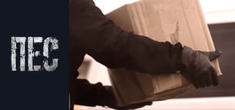 Dog, Season 2, Episode 14