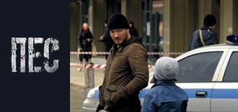 Dog, Season 3, Episode 10 Dog, Season 3, Episode 10