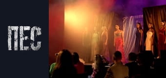 Пёс, Сезон 3, Серия 6