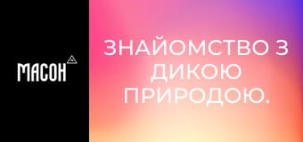 Знайомство з дикою природою. Генети звичайні. Непомітні нічні хижаки. Знайомство з дикою природою. Генети звичайні. Непомітні нічні хижаки.