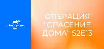 Операция "Спасение дома" S2E13