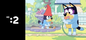 Bluey S2E25 Bluey S2E25