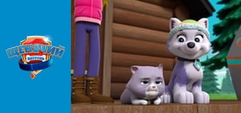 Щенячий патруль. Сезон 4 - серия 18