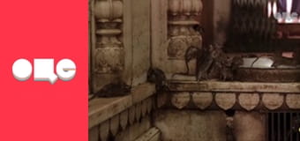 Кохання на виживання, 2 сезон, 4 еп.