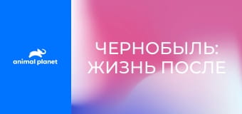 Чернобыль: жизнь после