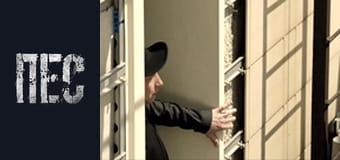 Пёс, Сезон 3, Серия 5