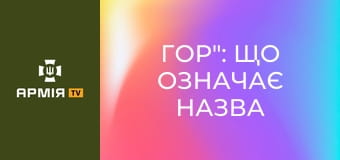 "Гор": що означає назва дрона і яку тактичну перевагу він дає фронту || 413 ОББС "РЕЙД".