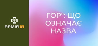 "Гор": що означає назва дрона і яку тактичну перевагу він дає фронту || 413 ОББС "РЕЙД".