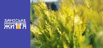 "Дачники" сезон 2 серия 55 "Дачники" сезон 2 серия 55