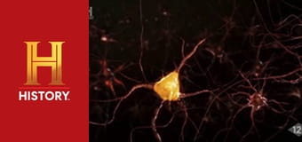 Необъяснимое с Уильямом Шетнером, 7 эп. Тайны разума.