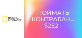 Поймать контрабандиста S2E2 - На грани