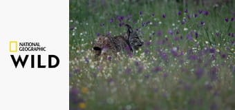 Дикое Средиземноморье S1E1 - Сердце земли