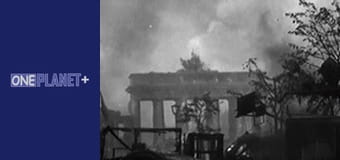 Секретно. Вторая Мировая. - cерия 14