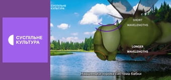 Квартет "Гетьман". Концерт.