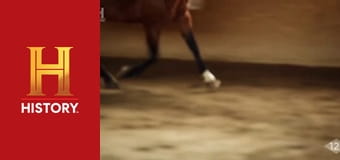 Необъяснимое с Уильямом Шетнером, 16 эп. Удивительные способности животных.