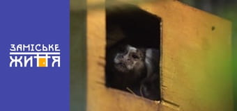 "Удачный бизнес" сезон 1 серия 38 "Удачный бизнес" сезон 1 серия 38