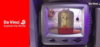 Лаборатория сказочных произведений - Лавная лампа Лаборатория сказочных произведений - Лавная лампа