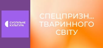Д/с "Спецпризначенці тваринного світу". "Повітряні сили".