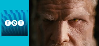 Спайдервік: хроніки