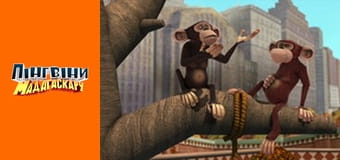 Сезон 2 - Серия 36