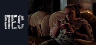 Пес, Сезон 2, Серія 16