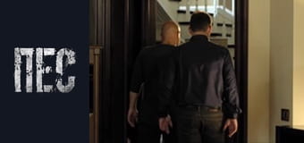 Dog, Season 3, Episode 12 Dog, Season 3, Episode 12