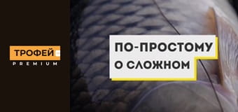 По-простому про складне. Серiя 15