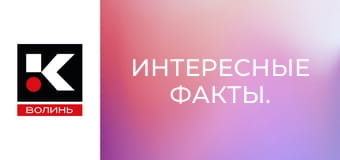 Интересные факты.