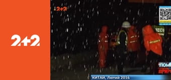 Помста природи