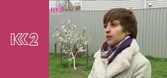 Готуємо Разом. Випічка E17 - Шоколадна випічка