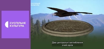 Д/с "Спецпризначенці тваринного світу". "Повітряні сили".