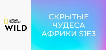 Скрытые чудеса Африки S1E3 - Сахара