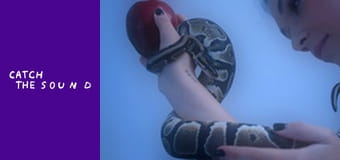 Marie Hellstein - Сигналізація