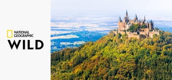 Скрытые чудеса Европы S1E1 - Германия